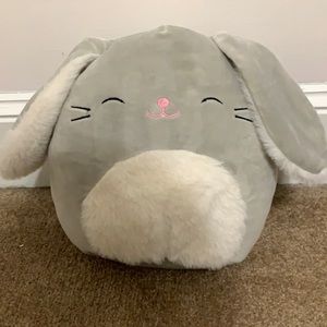 Blake the Bunny 8in Squishmallow!